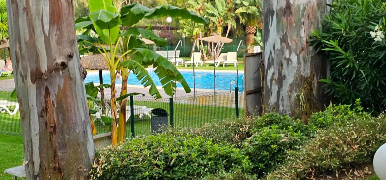 Suite Puerto Banus Con Piscina Marbella Exteriör bild